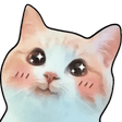 xx_kittyblush Discord emoji