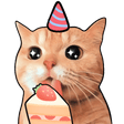 xx_kittybirthday Discord emoji