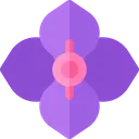hortensia