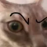 sus