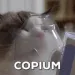 CIcopium CIcopium