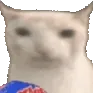 CIcatchipnom CIcatchipnom
