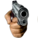 gun2
