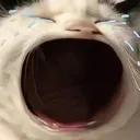 waaaaaaa