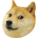 doge