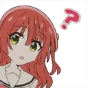KitaCurious