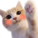 xx_kittywave Discord emoji