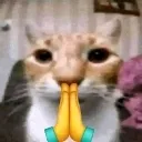 did_you_pray_today did_you_pray_today