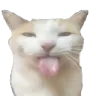 bleh