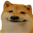 DogO