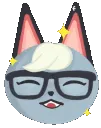 acnhraymond