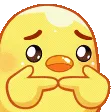 shy