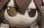 FumoFumo