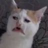 cry