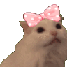 Cats_ReeBow Discord Emoji