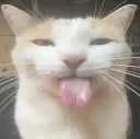silly