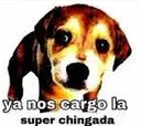 YaNosCargoLaChingada Discord Emoji