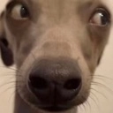 sideeye Discord emoji