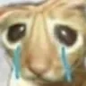 eueueu