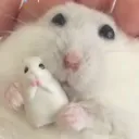 hugtoy