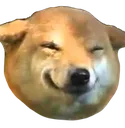 2483smiledoge