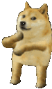 7241dogedance