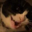 lol