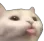 justcattoblep Discord Emoji