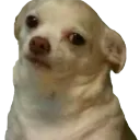 callsOrPuts