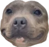 pibble