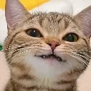 smirkCute smirkCute