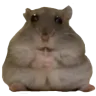 hempstarege