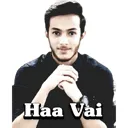 pp_haan_bhai