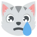 cat_crying_face Discord Emoji