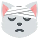 cat_with_head_bandage Discord Emoji