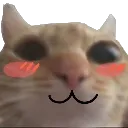 catowoSmall Discord Emoji
