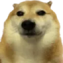 chaosstare