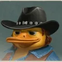 DuckNorris DuckNorris