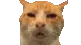 HUH HUH