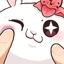 LolaxSquish1_DNS LolaxSquish1_DNS