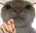 cat_point