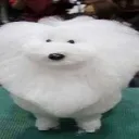 die