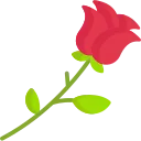 rose