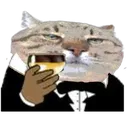 pluhan_gentle