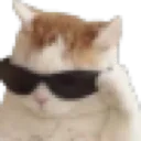 catto_goggles