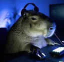 CapybaraGaming