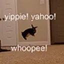 yippee