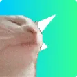 catjam