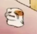 catcry catcry