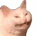 NEEE